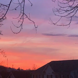 Meet your Posher, Daniella